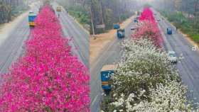 বাংলাদেশের বুকে যেন এক টুকরো জাপান