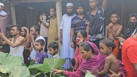দুর্গন্ধের উৎস খুঁজতে গিয়ে মিললো নারীর খণ্ডিত লাশ