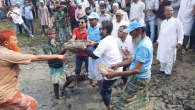 ভোটের কালি মোছার আগেই প্রতিশ্রুতি বাস্তবায়নে উদ্যোগ নিয়েছে সরকার: টুকু