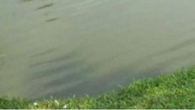 গর্তের পানি থেকে দুই শিশুর মরদেহ উদ্ধার