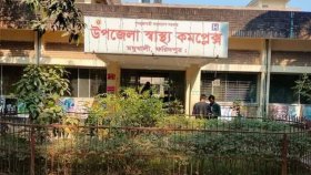 বজ্রাঘাতে বিএনপি নেতা ও কৃষকের মৃত্যু