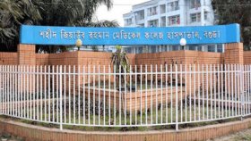 বোনের বাড়িতে ঈদ করতে এসে প্রতিপক্ষের ছুরিকাঘাতে নারীর মৃত্যু