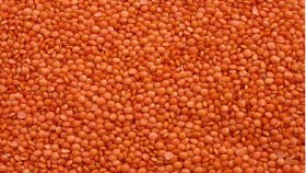 মসুর ডাল কেনার সিদ্ধান্ত প্রত্যাহার