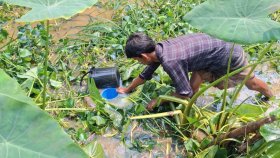 আল্লাহ দিছে তাই নিচ্ছি: ট্রেন দুর্ঘটনায় পানিতে পড়া তেল সংগ্রহকারী