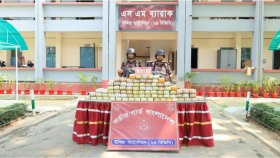 বিজিবির ইতিহাসে রেকর্ড ইয়াবা জব্দ, একদিনে উদ্ধার প্রায় ১১ লাখ পিস 