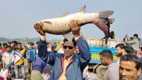 মেলা নয় যেন পারিবারিক মিলনমেলা