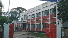 ভাতিজার ছুরিকাঘাতে চাচি নিহত