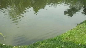 ময়মনসিংহে পানিতে ডুবে দুই শিশুর মৃত্যু