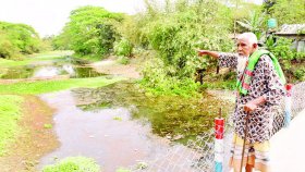 জিয়ার দেখানো পথেই হাঁটছেন তারেক রহমান