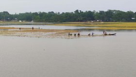 নেত্রকোনায় তলিয়ে গেছে বোরো ফসল