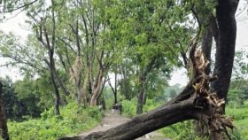 টেকনাফে কালবৈশাখীর তাণ্ডব: বিদ্যুৎহীন পাঁচ ইউনিয়ন, দুর্ভোগে লাখো মানুষ