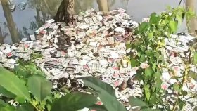 ডোবার পানিতে ভাসছে সরকারি ওষুধ