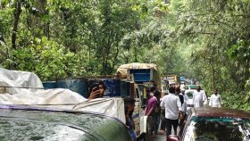 মৌলভীবাজারে সড়কে গাছ পড়ে ৫ ঘণ্টা যানবাহন চলাচল বন্ধ