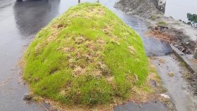 ‘কী খাবো আর কীভাবে বাঁচবো’