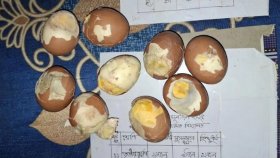 স্কুল ফিডিংয়ে শিক্ষার্থীদের পচা ডিম সরবরাহের অভিযোগ