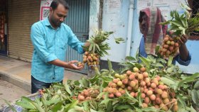 মৌসুম শুরুর আগেই বাজারে অপরিপক্ব লিচু, ১০০ পিস ৩০০ টাকা