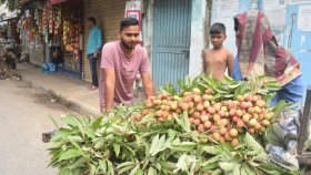 অপরিপক্ব লিচু খেলে কী হয়