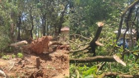 বৈশাখী ঝড়ে লন্ডভন্ড গাজীপুরের তিন গ্রাম, গোটা এলাকা বিদ্যুৎহীন