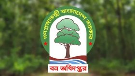 বন অধিদফতরে চাকরির সুযোগ, বড় নিয়োগ বিজ্ঞপ্তি