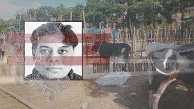পশুর হাট ঘিরে সংঘাত, আড়ালে আধিপত্যের লড়াই