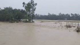 ভারী বৃষ্টি ও পাহাড়ি ঢলে ফসলের ব্যাপক ক্ষয়ক্ষতি