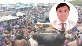 হাটে কোরবানির পশু থেকে মানুষে ছড়ায় প্রাণঘাতী রোগ, কীভাবে বাঁচবেন