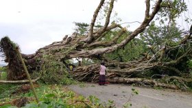 নওগাঁয় ঝড়ে ব্যাপক ক্ষয়ক্ষতি
