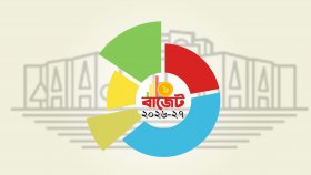 বাজেটে মিলতে পারে ৫ সুখবর, পাচারকারীদের জন্যও কি থাকছে সুযোগ   