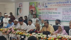 দেশের সব অপকর্মের সঙ্গে জামায়াত জড়িত, দাবি দুদুর