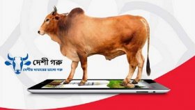 অনলাইন পশুর হাটের সুবিধা-অসুবিধা