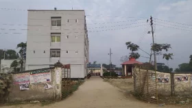 গাছে বাঁধা দেহ, মাটিতে মাথা, কারা করলো এই নির্মম হত্যা
