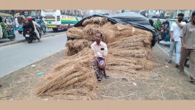 গো-খাদ্যের মৌসুমি ব্যবসা, কেমন চলছে বেচাকেনা 
