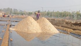 নয় লাখ টন মজুত, তবু ৩৭০ টাকা বেড়েছে লবণের দাম