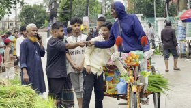 কোরবানির পশুর ঘাসেও রমরমা ব্যবসা, লাভ দ্বিগুণ