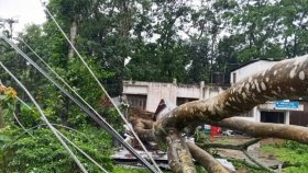 ঝড়-বৃষ্টিতে ক্ষতিগ্রস্ত পল্লী বিদ্যুতের লাইন, ভোগান্তিতে গ্রাহকেরা