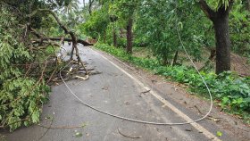 কালবৈশাখীর তাণ্ডবে সাতক্ষীরায় শিশুর মৃত্যু, বিদ্যুৎহীন ২০ হাজার গ্রাহক