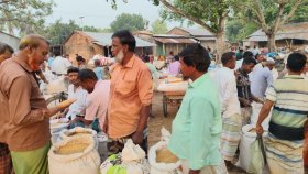 নওগাঁর ‘জিরা ধান’ ঢাকায় গিয়ে যেভাবে হচ্ছে ‘মিনিকেট’ 