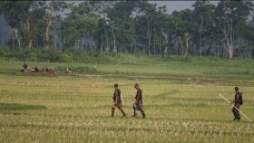 বিএসএফের ঠেলে পাঠানো ১০ জন আটকে আছেন সীমান্তের শূন্যরেখায়