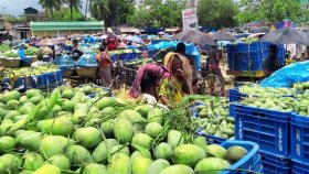 মালয়েশিয়ায় বাংলাদেশের আম রফতানির ‘দরজা খুলছে’ 