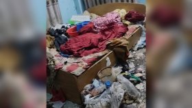 মিরপুরের সেই বৃদ্ধার সঙ্গে মানবাধিকার লঙ্ঘন হয়েছে কিনা, তদন্ত চেয়ে রিট