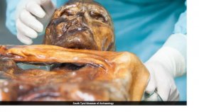 ৫৩০০ বছর পরও মমিতে জীবিত অণুজীব