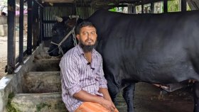 খালেদা জিয়াকে গরু উপহার দিতে চাওয়া সোহাগ কী মামলায় গ্রেফতার?