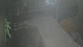 জানালা খুলে দেখি, এলাকা ঘিরে রেখে অনবরত গুলি ছুড়ছে তারা