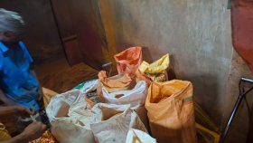 ১৯ বস্তা ভেজাল হলুদের গুঁড়া জব্দ, চার প্রতিষ্ঠানকে জরিমানা