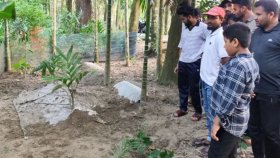 ঈদের দিন মৃত্যুর পর দাফন, ১৮ দিন পর তরুণীর কবর খুঁড়ে কী দেখলেন স্বজনরা