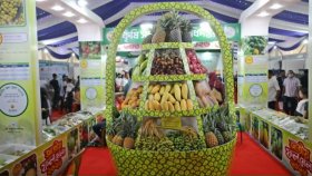 দেশি ফলের রঙে-গন্ধে মাতোয়ারা খামারবাড়ি