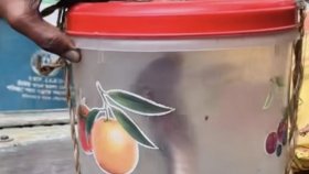 কামড় খেয়ে জ্যান্ত সাপ নিয়ে হাসপাতালে যুবক