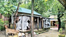 সুনামগঞ্জে ধর্ম অবমাননার অভিযোগে মন্দির-বাড়ি ভাঙচুর, এলাকায় আতঙ্ক