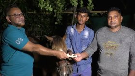 অন্ধ ঘোড়ার দেখভাল করা কলেজছাত্রের জন্য উপহার পাঠালেন প্রধানমন্ত্রী