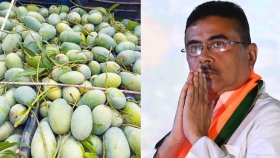 বেনাপোল দিয়ে মুখ্যমন্ত্রী শুভেন্দুর জন্য ৫০০ কেজি আম পাঠালো বাংলাদেশ